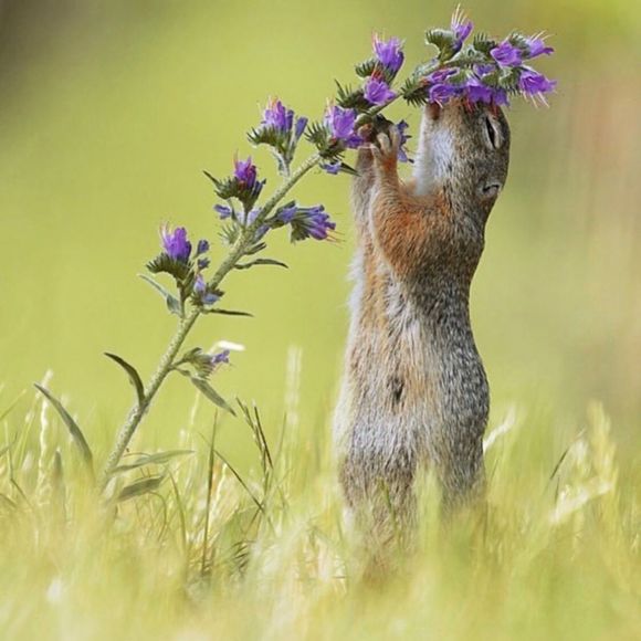 Meet your Posher, Lindsey - Picture 1 of 1